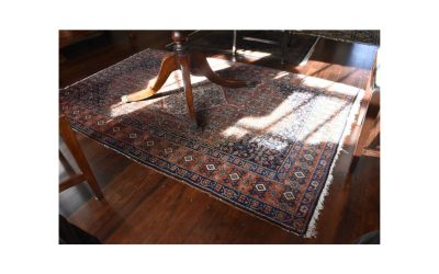 Finely Woven Persian Senneh Rug
